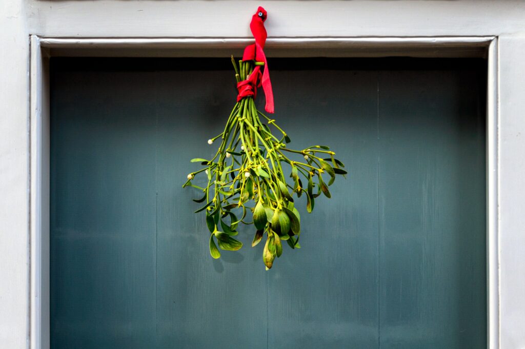 Mistletoe hanging from a door frame